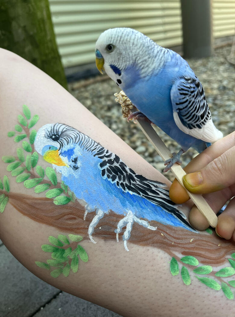 Budgie... with a budgie!