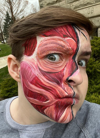 Anatomical muscles